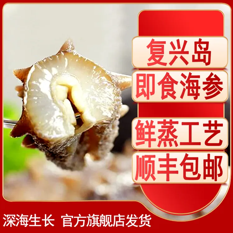 [飞哥粉丝福利]大连复兴岛海参鲜蒸即食海参500g/4-7头