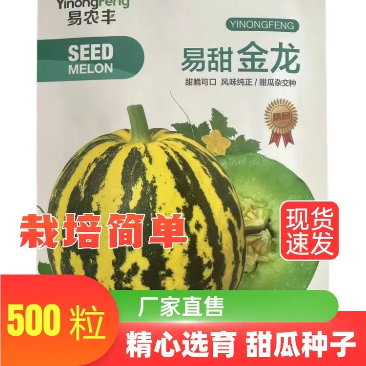 易甜金龙花瓜甜瓜种500粒耐低温上糖快口感香甜果香味足抗衰耐裂