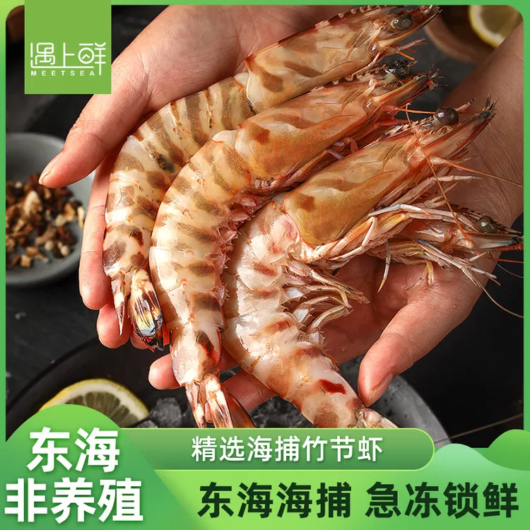 遇上鲜舟山海捕竹节虾 斑节虾鲜活速冻肉质鲜美特大规格冷运配送