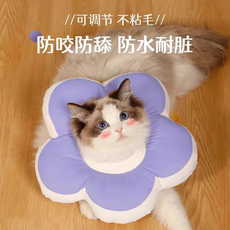 猫咪伊丽莎白圈防舔幼猫头套绝育项圈英短猫咪脖圈颈圈防咬