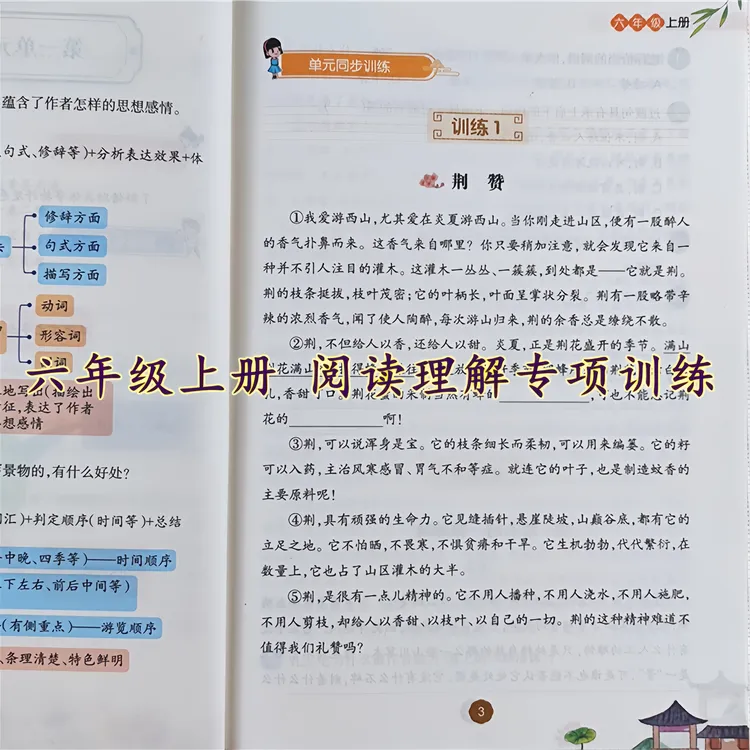 六年级上册语文阅读理解专项训练人教版语文阅读理解训练书练习题
