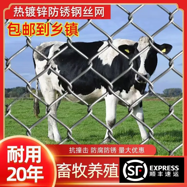 热镀锌铁丝围栏网养殖网养狗养殖牛羊防护网勾花网果园圈地钢丝网