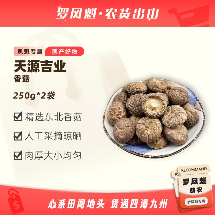 东北香菇长白山特产椴木香菇干货肉厚无根手选净重