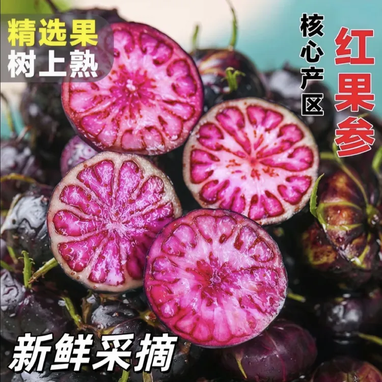 云南特有水果红果参新鲜采摘蜘蛛果稀有果实当季鲜果现摘现发