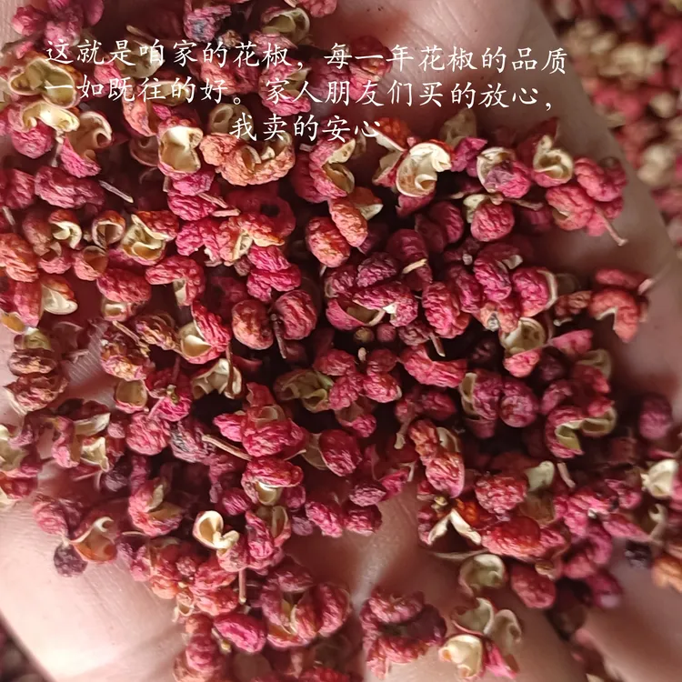 陕西韩城大红袍优质新花椒特麻特香红花椒粒产地韩城直发一手货源