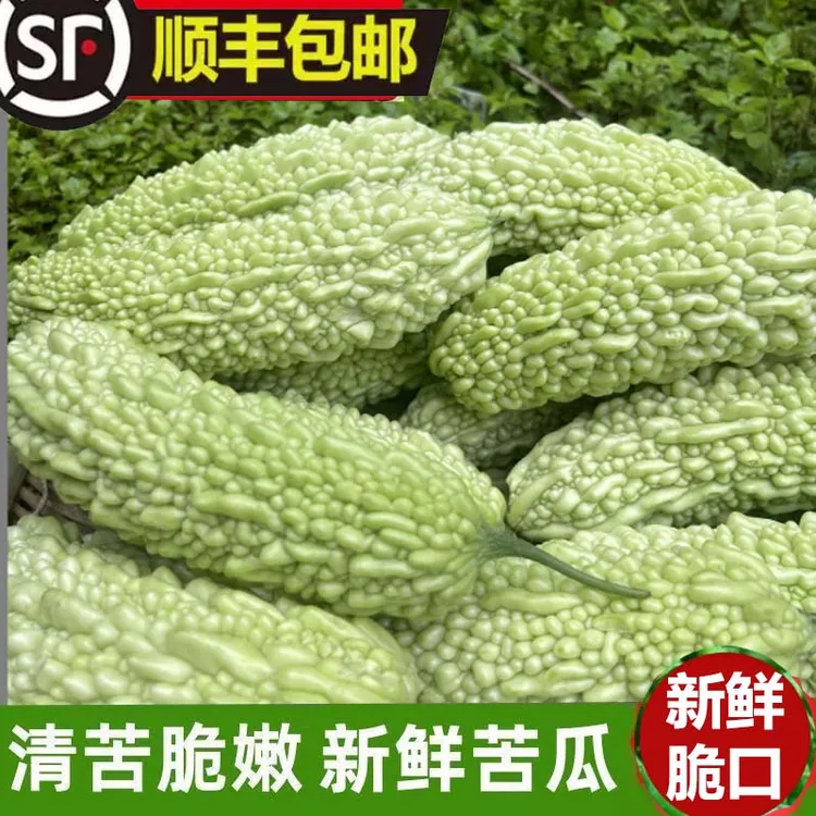 新鲜苦瓜凉瓜白苦瓜赣南产地现摘现发农家菜顺丰当季鲜