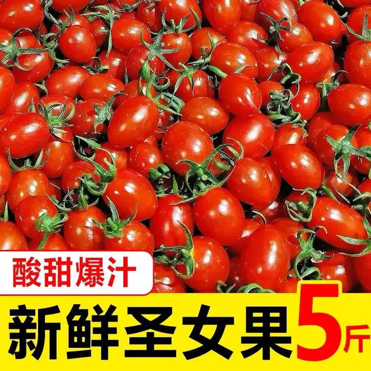 【助农补贴】正宗广西圣女果5斤装小番茄柿子小西红柿酸甜水果