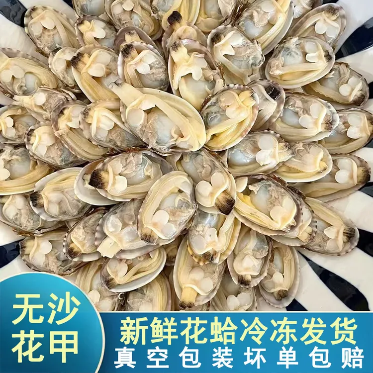 花甲生鲜带壳花甲肉蛤蜊嫩爽食用多汁美味川香下饭烧烤爆炒5斤3斤