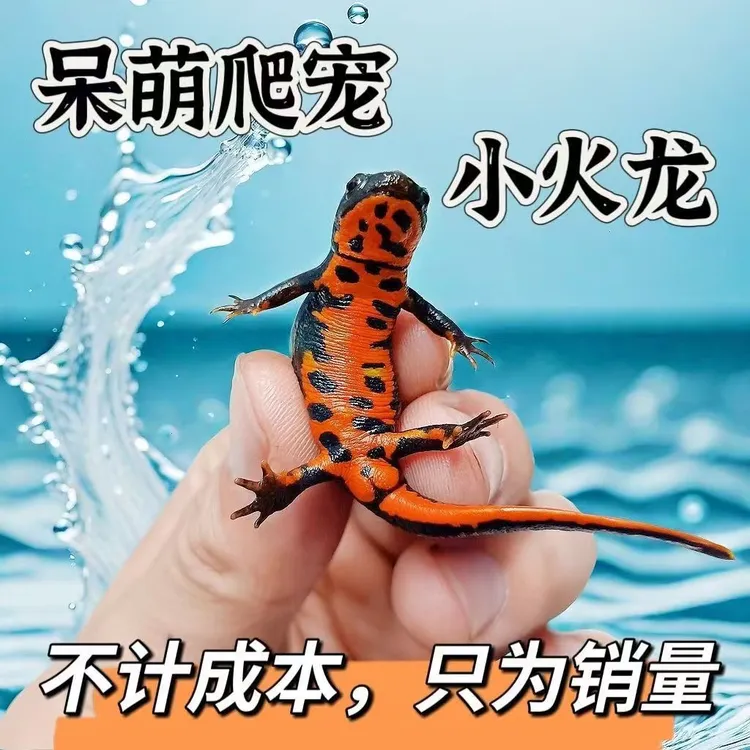 小火龙鱼活体冷水鱼清道夫除藻除油膜清洁鱼缸能手淡水鱼
