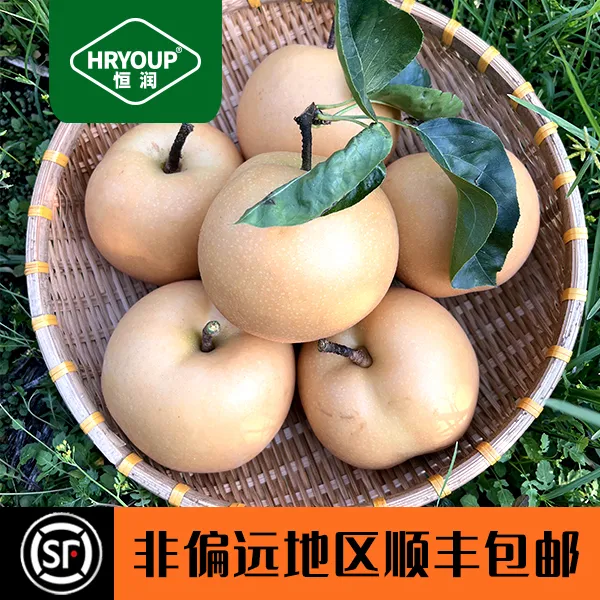 【罗曼&蒂克】HRYOUP正宗烟台莱阳产区秋月梨脆甜多汁应季水果非偏远顺丰包邮