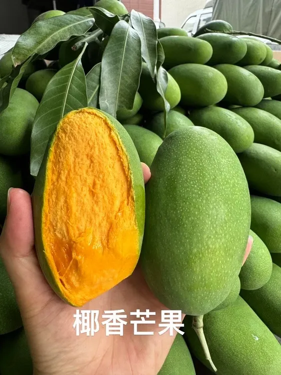 攀枝花椰香芒果正宗热带芒果当季新鲜水果应季整箱原产地直发包邮