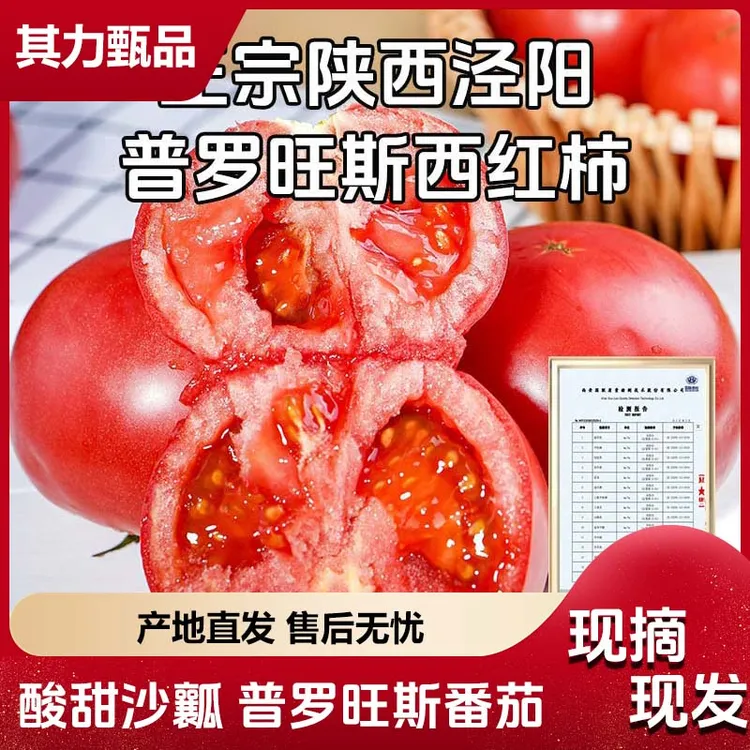 正宗陕西泾阳普罗旺斯西红柿水果沙瓤自然熟西红柿生吃即食
