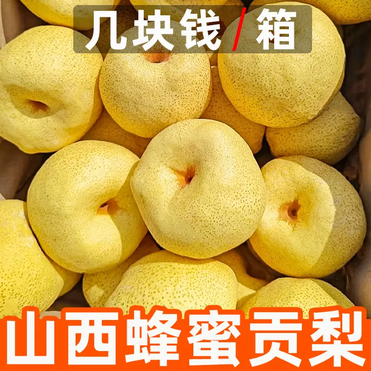【巨脆甜】山西蜂蜜贡梨酥梨新鲜应季水果薄皮梨子蜜梨包邮批发