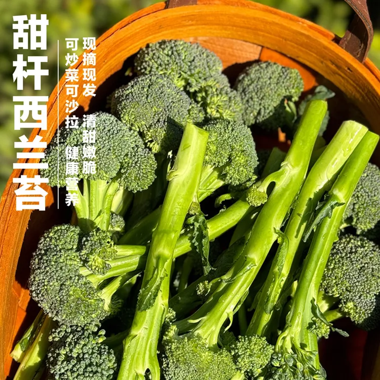 【顺丰】长杆西兰花 芦笋西兰苔 清甜多汁 脆嫩可口 健身宝妈优选