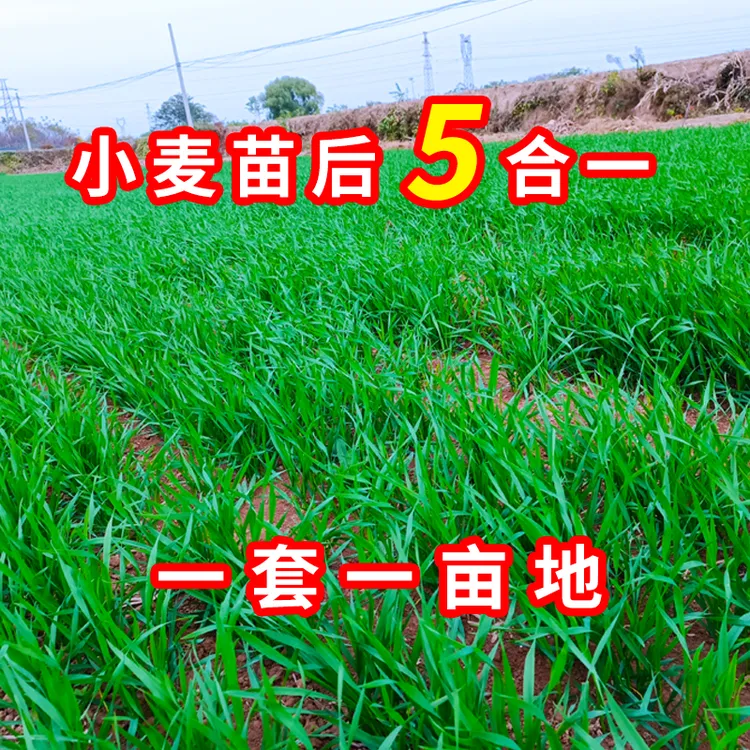 稼博富团【5合一】小麦苗后专用叶面肥腐殖酸