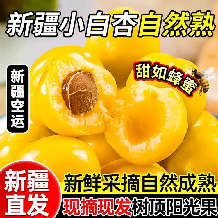 【京东/顺丰空运直达】新疆小白杏轮台白杏新鲜应季水果纯甜杏子