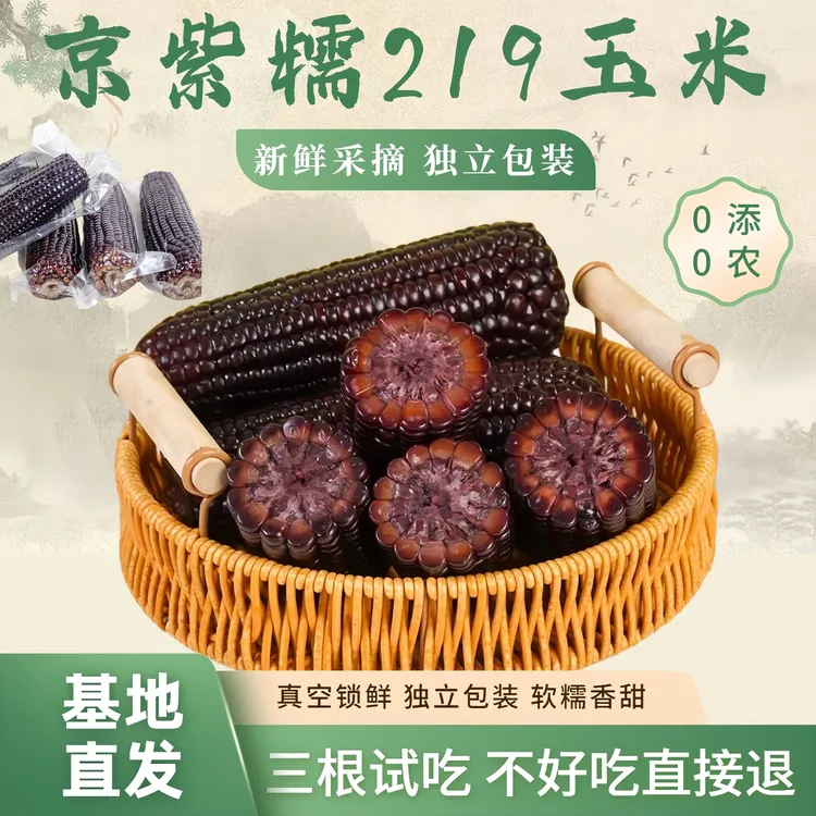 【三根试吃】京紫糯219黑玉米粘糯清香玉米棒鲜食当季玉米新鲜蔬菜