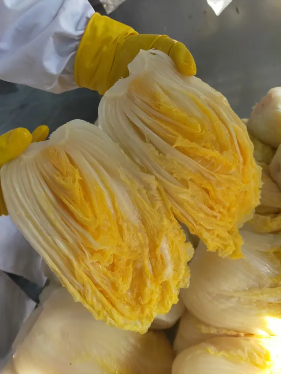 农垦小乡村东北传统酸菜-1半颗*5袋