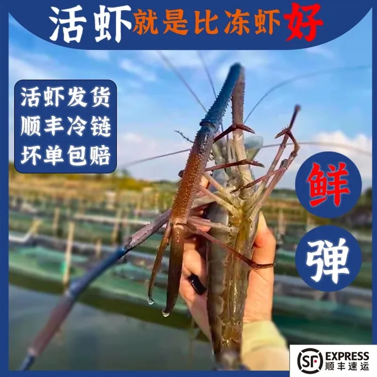 【罗氏沼虾3斤高品质】鲜活罗氏虾淡水虾大头虾速冻大罗氏虾