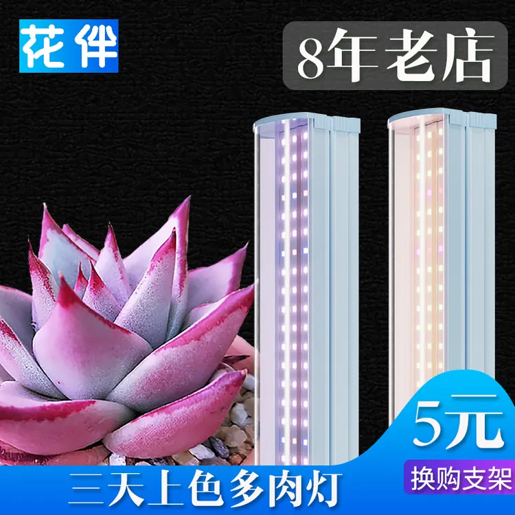 花伴多肉补光灯T20灯排植物补光灯三排全光谱植物生长灯家用阳台
