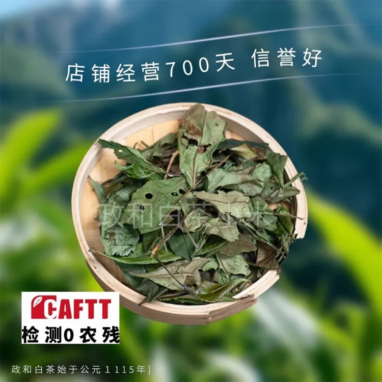 2025锦屏小野白百年古树贡眉白茶老枞荒山政和高山白茶