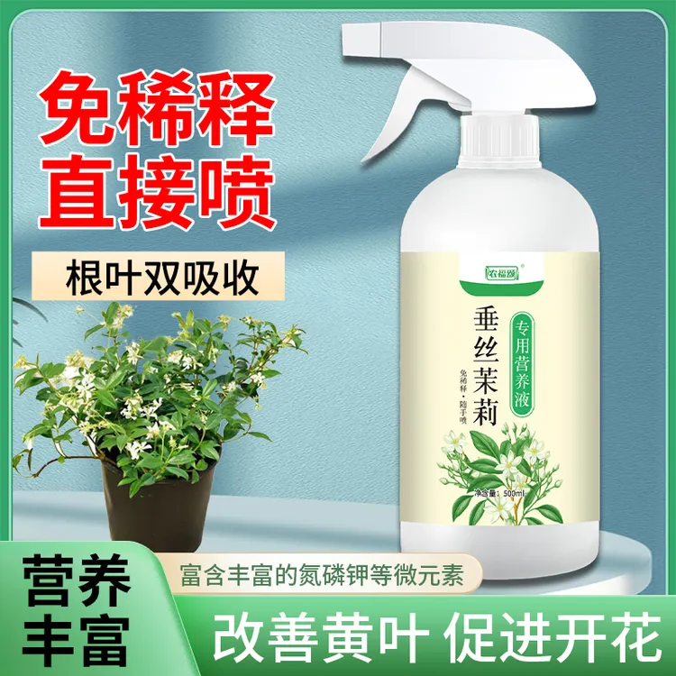 垂丝茉莉专用植物营养液直接喷催花治黄叶枯萎干尖延长花期免稀释