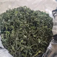 阿红代卖农家野菜澜迦叶干菜