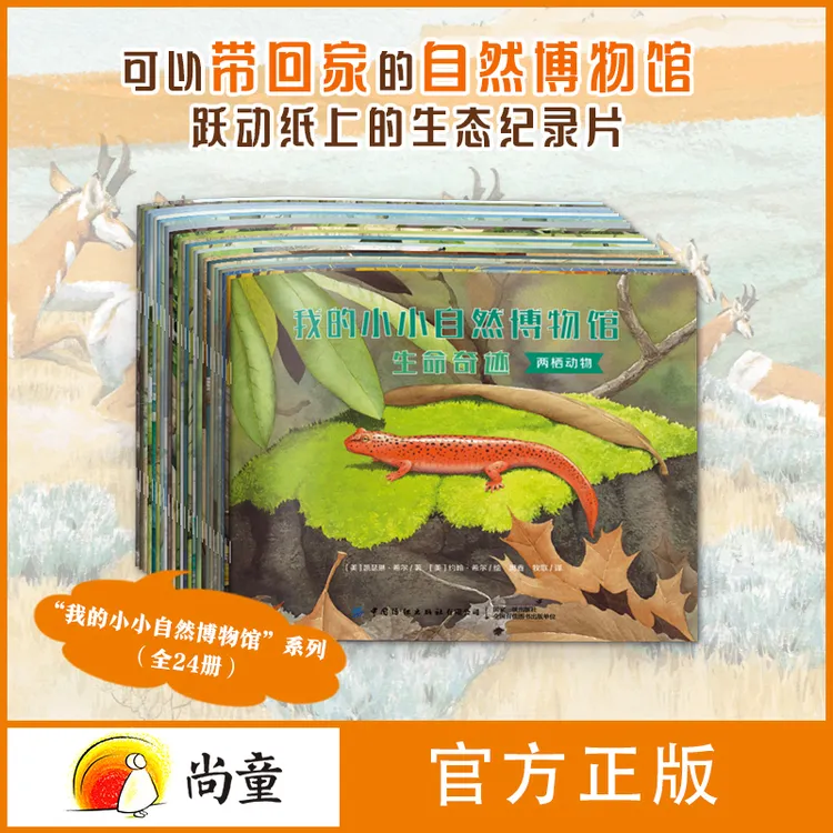 3-6岁绘本故事3-6岁图书阳子老师推荐我的小小自然博物馆全24册