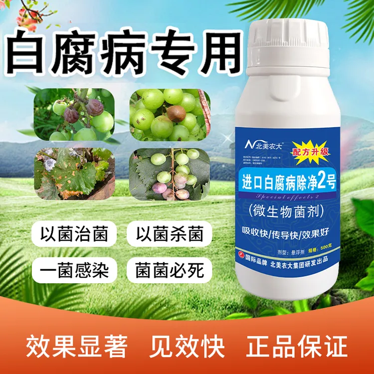 白腐病杀菌白菜荔枝水溶肥中叶面肥膨果肥肥料白菜黄腐酸家庭园艺