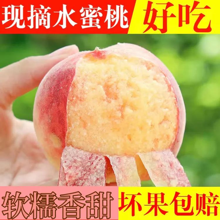 正宗陕西高山水蜜桃 软糯香甜新鲜当季水果多汁鲜甜现摘现发