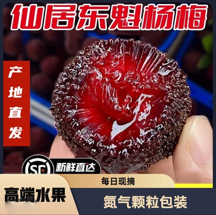 10A大果仙居东魁杨梅大果杨梅颗粒装高山杨梅甜杨梅新鲜现采现发