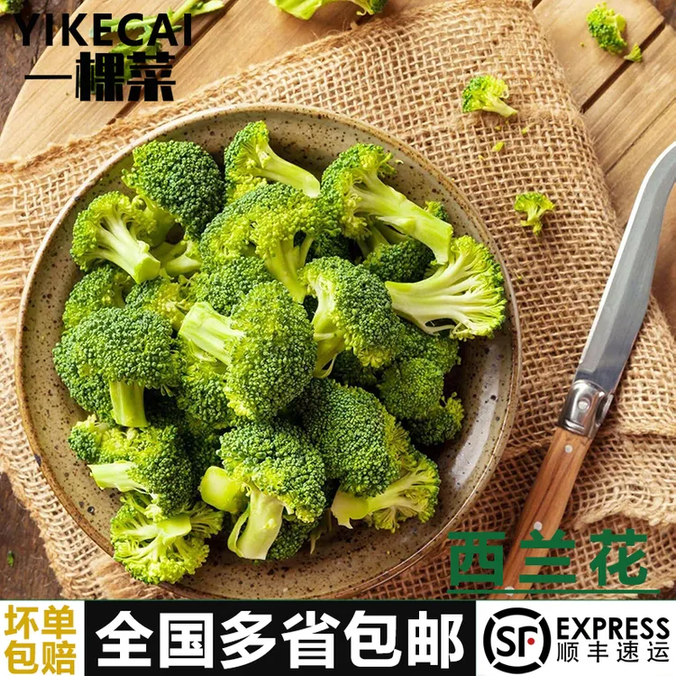 【YIKECAIi】西兰花500g小朵西兰花朵青花绿花菜西蓝花椰菜农家菜