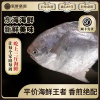新鲜海捕东海小鲳鱼银鲳【不含冰净重500g*3包 5-7条/包】