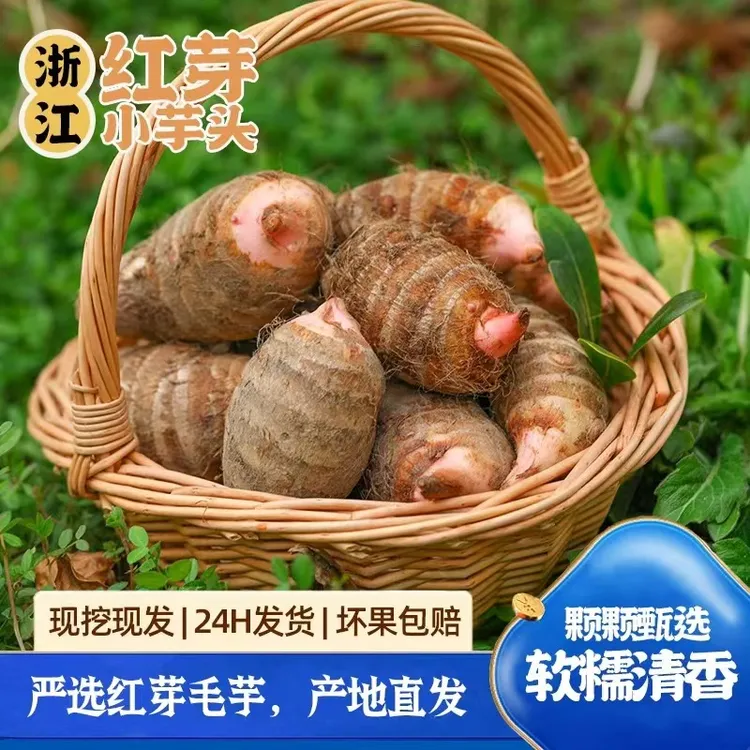 【粉丝福利】新鲜现挖正宗红芽芋头口感软糯香味浓郁好吃芋艿1至9斤