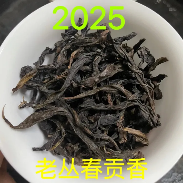 潮州凤凰单丛茶老丛春贡香浓香型凤凰单枞茶乌龙茶礼盒装250g