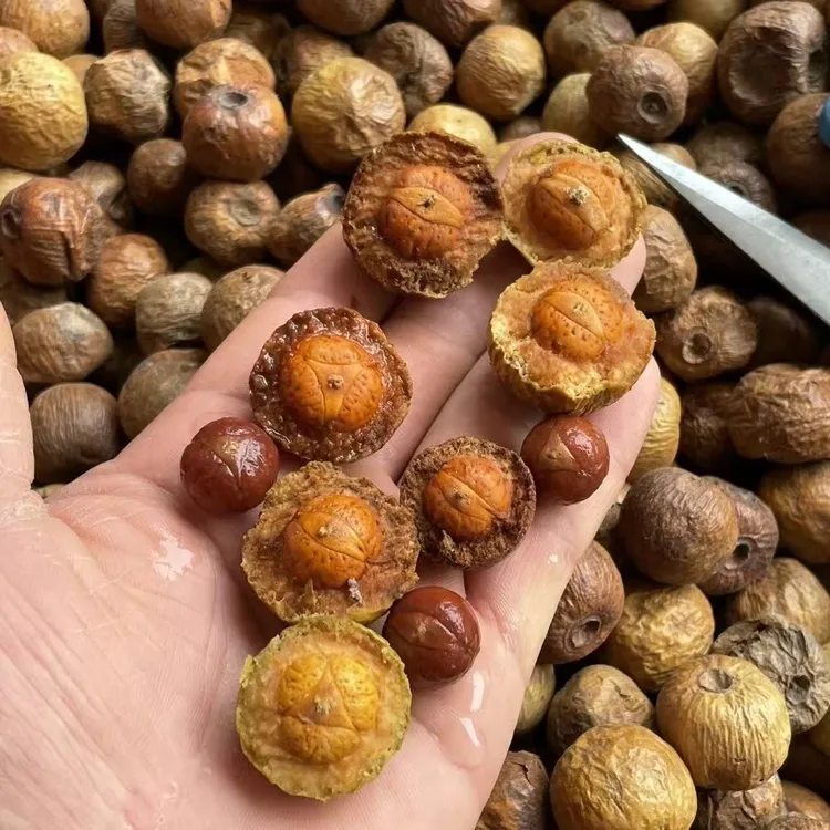 带皮散籽凤眼菩提干果原料手工解压DIV文玩【200克重】去皮有差异