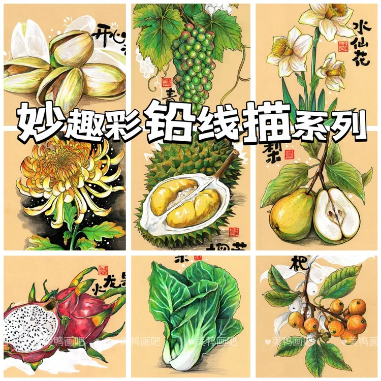 《趣秒彩铅线描系列》30张写实彩铅 A5.30张