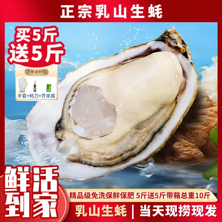 正宗乳山生蚝海鲜水产海蛎子生蚝牡蛎特大发顺丰5斤送5斤整箱10斤