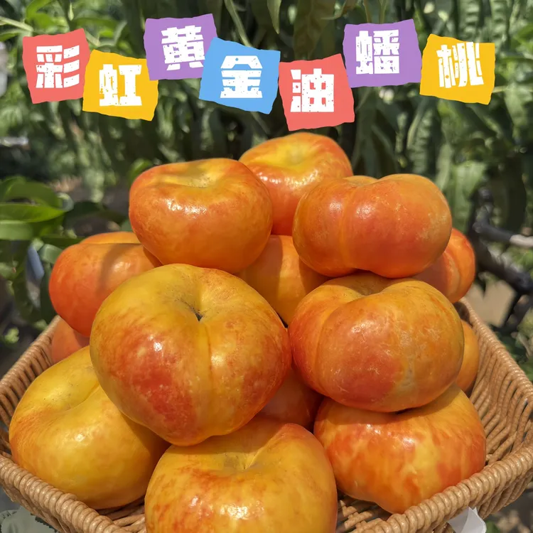 [京东/顺丰]彩虹黄金油蟠桃7 露天自然成熟 新鲜应季水果孕妇水果