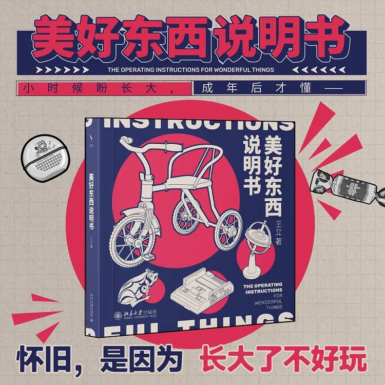 美好东西说明书  王立 著