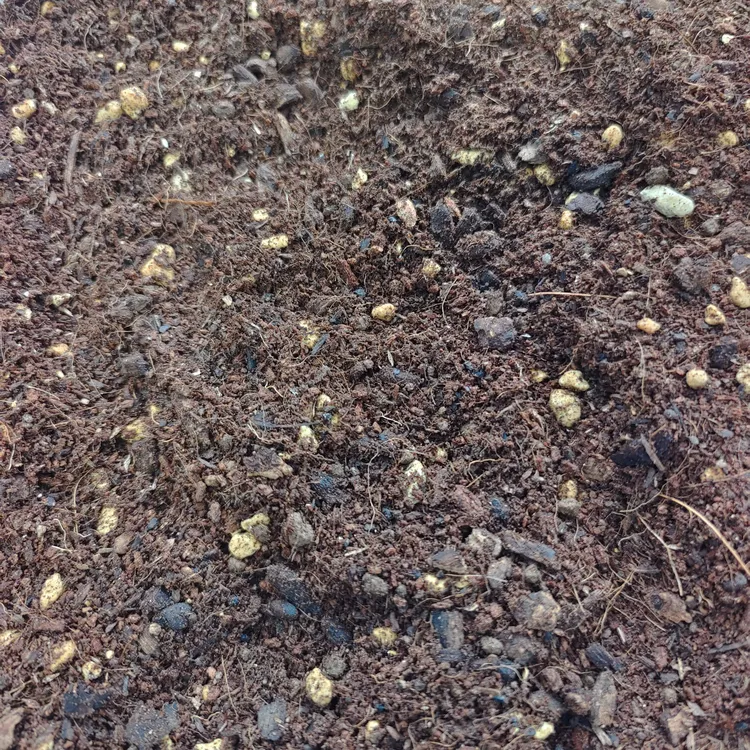 懒人花卉湿养通用营养植料（9升）