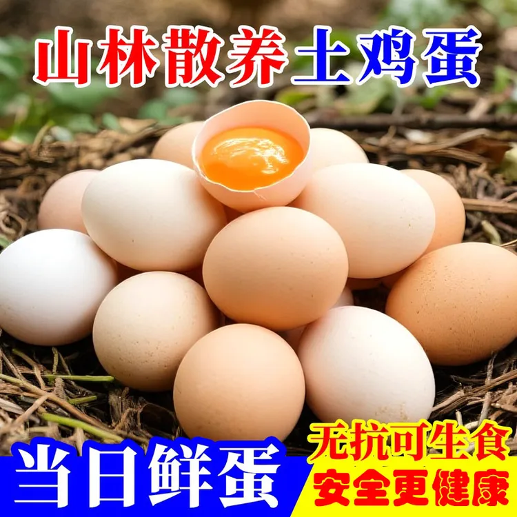 跑山散养皖南东至土鸡蛋SGS检测无激无抗无残留没有色素苏丹红