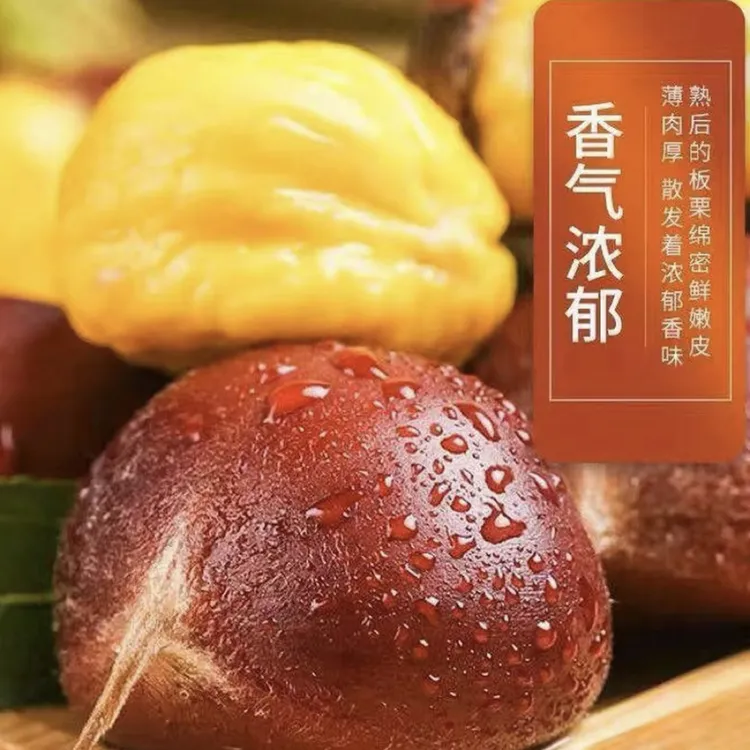 东北特产丹东新鲜高树老树板栗2025新货（难剥皮）