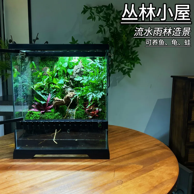 流水苔藓雨林缸微景观成品室内桌面鲜活青苔懒人爬宠微景观生态缸
