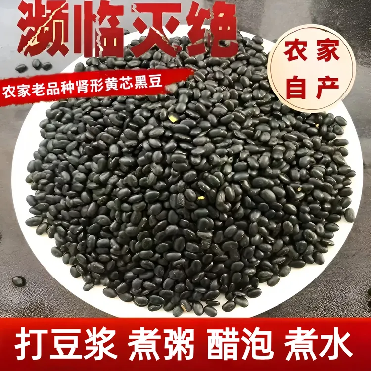 老品种黄心黑豆 肾形农家自产黄心小黑豆 醋泡打豆浆煮水煮粥新豆