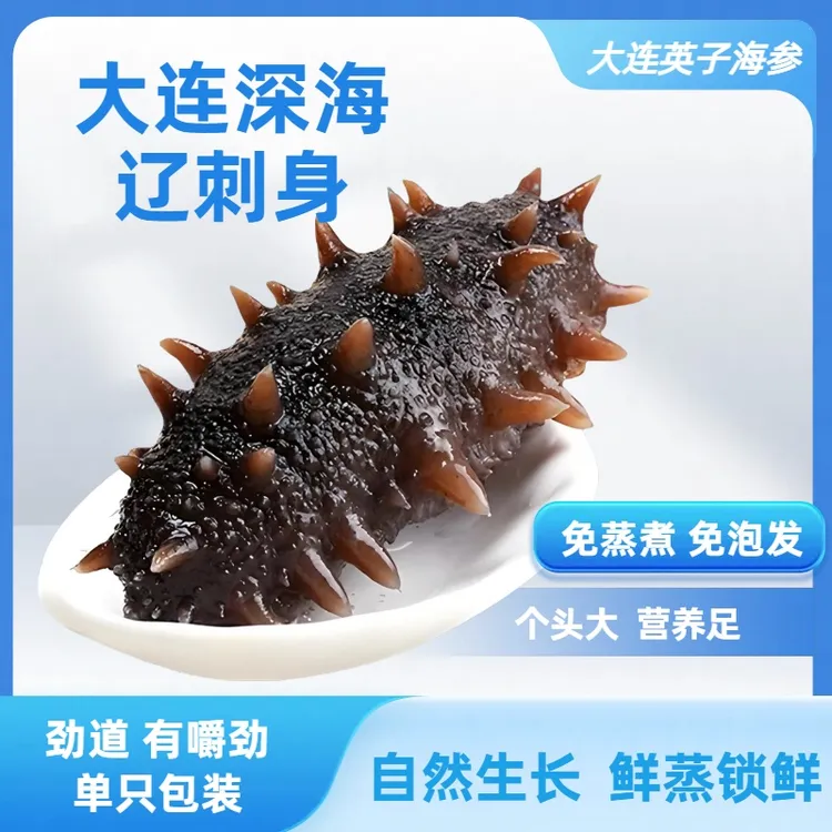 【头茬秋参双节特惠】鲜口即食海参5-9头 正宗辽刺参（现场称重）