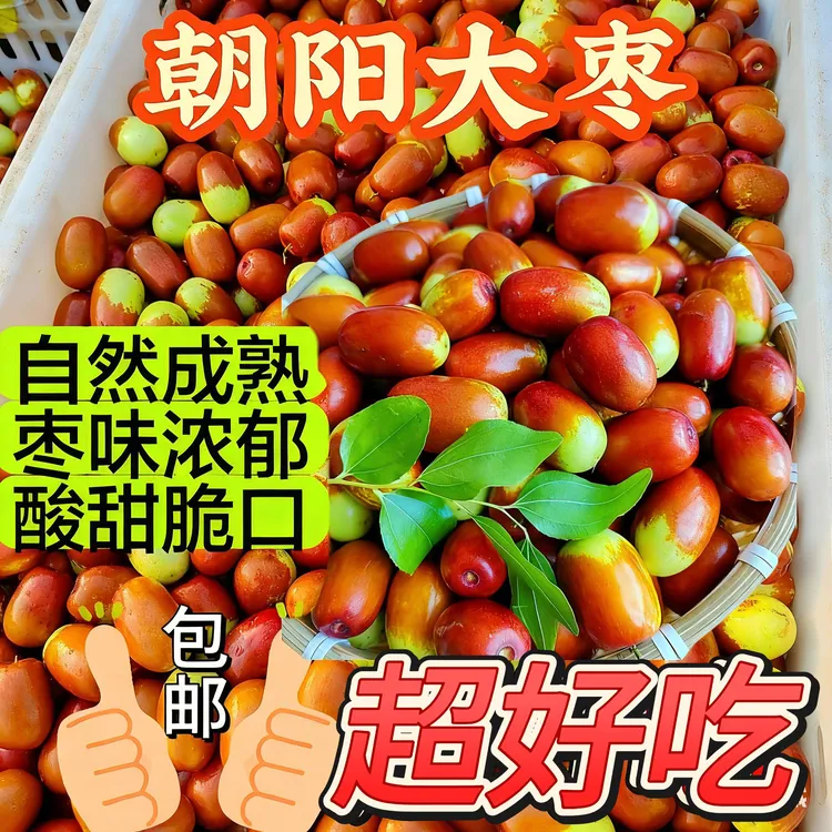辽宁正宗朝阳大枣特产，现摘现发酸甜脆爽新鲜美味