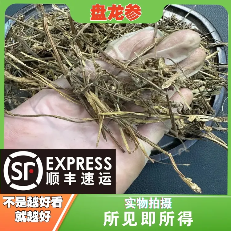 盘龙参成都中药材批发别名：苗绶草龙 鲤鱼草 海珠草猪辽参