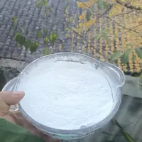 2【白-桦-树-粉-菇】净含量：250-1500g【小田现收】