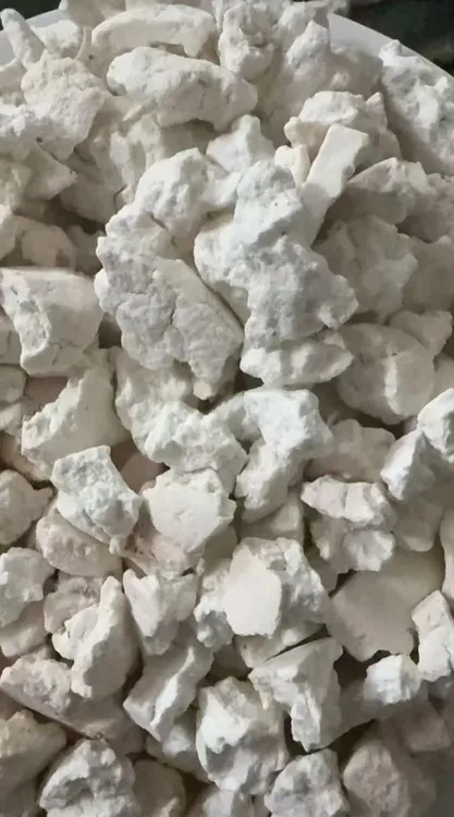 特级茯苓碎 ~干货~上班族新鲜